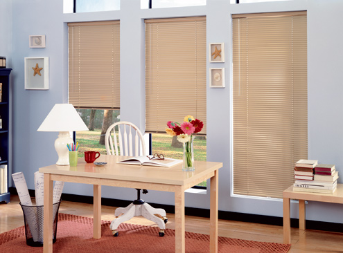 Levolor metal blinds offer complete customization for height and width. They also come in multiple colors.