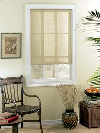 Levolor Engraved Roller Shade (2587 Blinds) photo