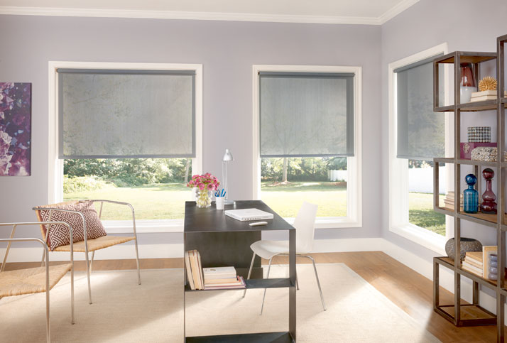 Bali Landon Solar Roller Shade, 8% Open Solar Roller Shade, UV protec (2814 Blinds) photo