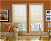 Our Brand COM Rockport 3/8 inch Double Cellular Light Filtering (Blinds Express 3672 Blinds) photo