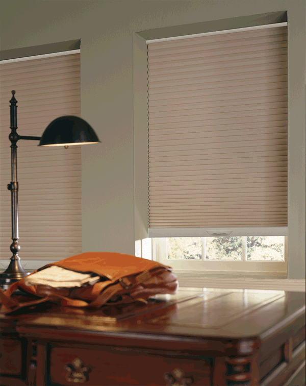 Our Brand COM Rockport 3/8 inch Double Cellular Blackout (Blinds Express 3674 Blinds) photo