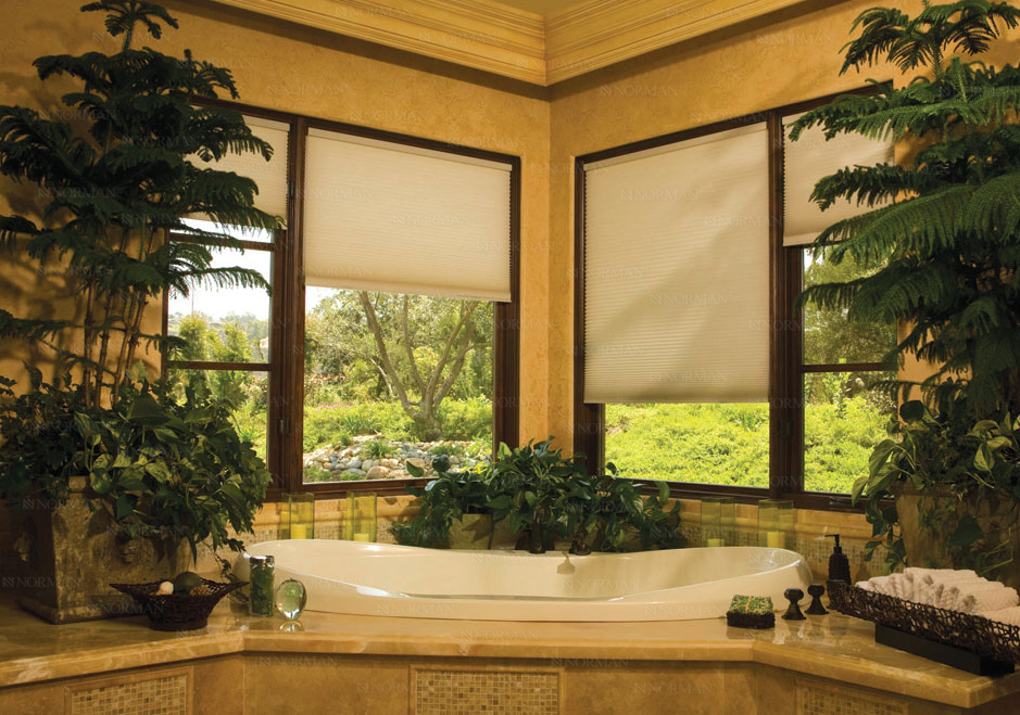 Norman Portrait  3/4 Single cell collection Rm Darkening