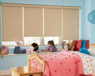 Our Brand PH Reminiscent 3 Ply Vinyl Blackout Roller Shade (Blinds Express 4187 Blinds) photo