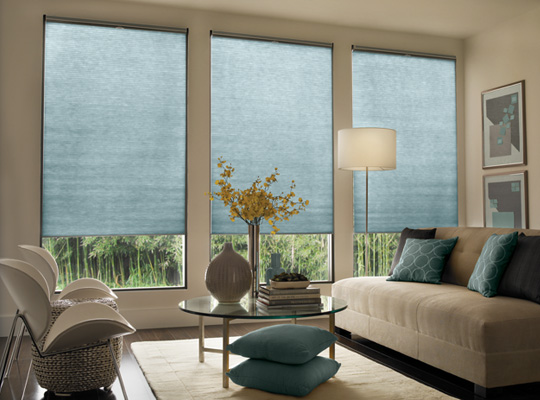 Blindsexpress Brand Cordless Cellular Blind - cellular blinds