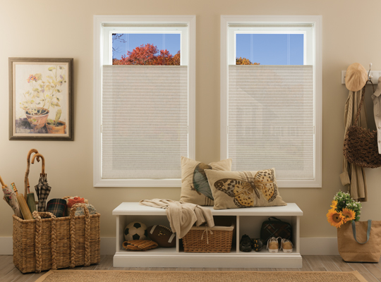 Our Brand Quick Ship Budget Cordless Top Down Bottom Up 3/8 inch Sing (Blinds Express 4436 Blinds) photo