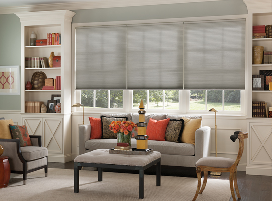 Blindsexpress Brand Cordless Cellular Blind - cellular blinds