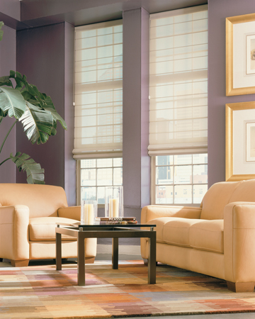 Roman Shade - blinds,shades,window treatment