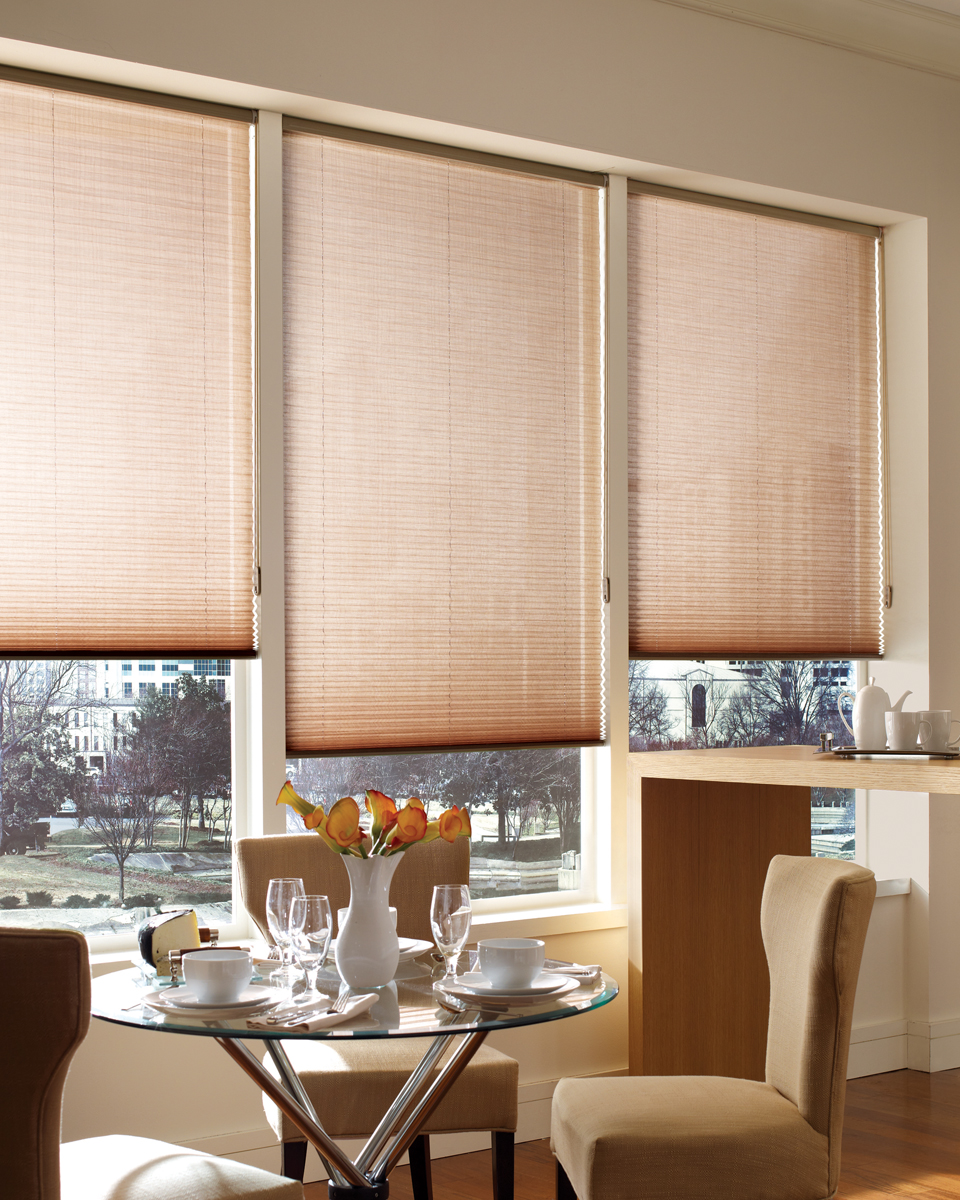 Bali Pleated Shade Dunes is a pleated shade collection with sheer elegance.