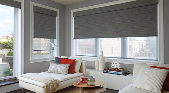 Serena Collection Cordless Roller Shades 36" to 39" Wide 