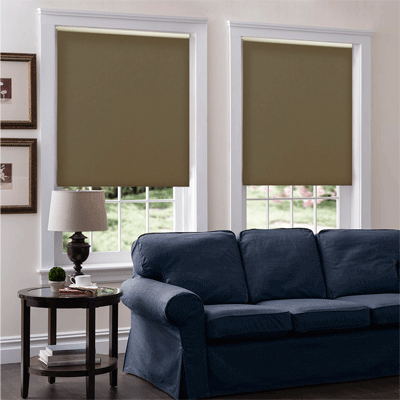 Our Brand PH Serena Roller Shade (Blinds Express 4933 Blinds) photo