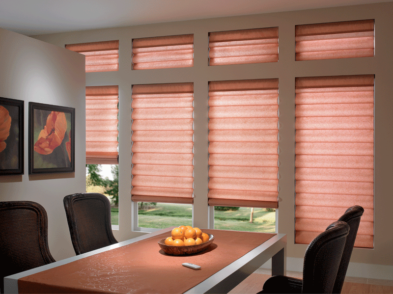 Roman Shade - blinds,shades,window treatment (Blinds Express 5157) photo