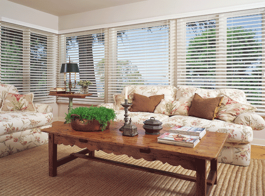 Our Brand COM Advanced Premium 2 inch Faux Wood (Blinds Express 5201 Blinds) photo