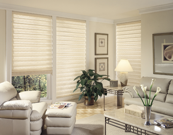 Blinds Express Roman Shade Silkara collection has a shimmery crosshat (5399) photo