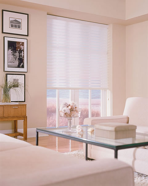sheer cellular light filtering shades 