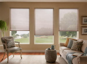 sheer cellular perfect for living areas with a view