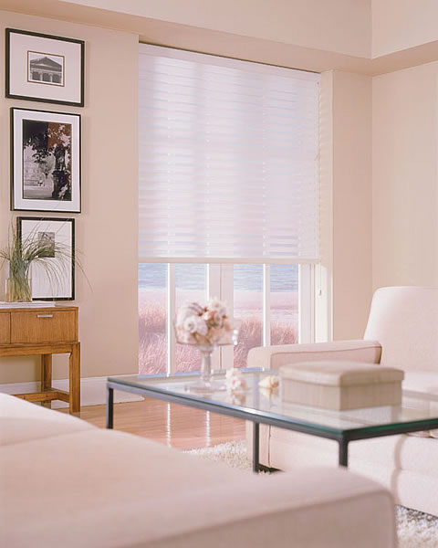 Norm 3/4 inch Single Cellular Sheer (5454 Blinds) photo