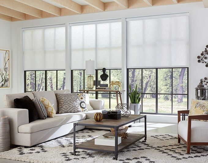 Blai roller shade in Sheer fabric is Landscape