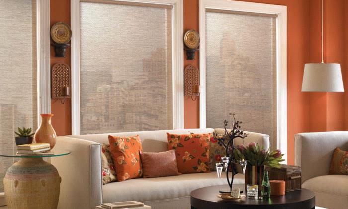Sheer Roller shade by Bali called Landscape