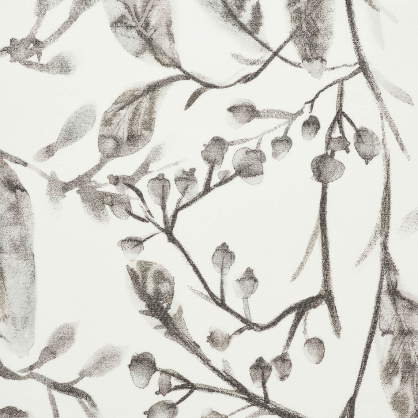 Bali Robin print roller shade