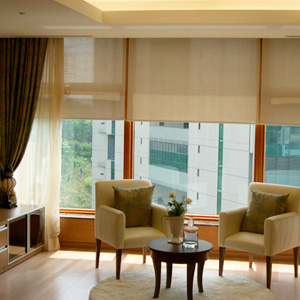 Kyra Light filterin roller fabric by mariak