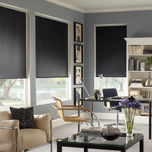 Solar Roller Shades Style Econoscreen 3% open private label. (Blinds Express 5728 Blinds) photo