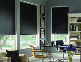 Our Brand OX Ava Blackout Roller Shade (Blinds Express 5823 Blinds) photo