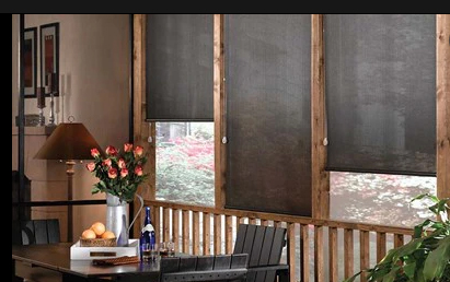 Our Brand Ox Ns Bw 1% Open Solar Roller Shade