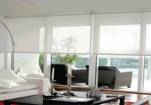 Our Brand OX NS BW 1% Open Solar Roller Shade (Blinds Express 5859 Blinds) photo