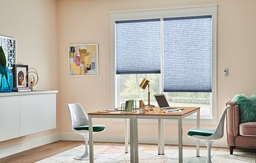 Basics cellular light filtering value