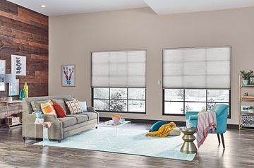 Basics Plus cellular light filtering