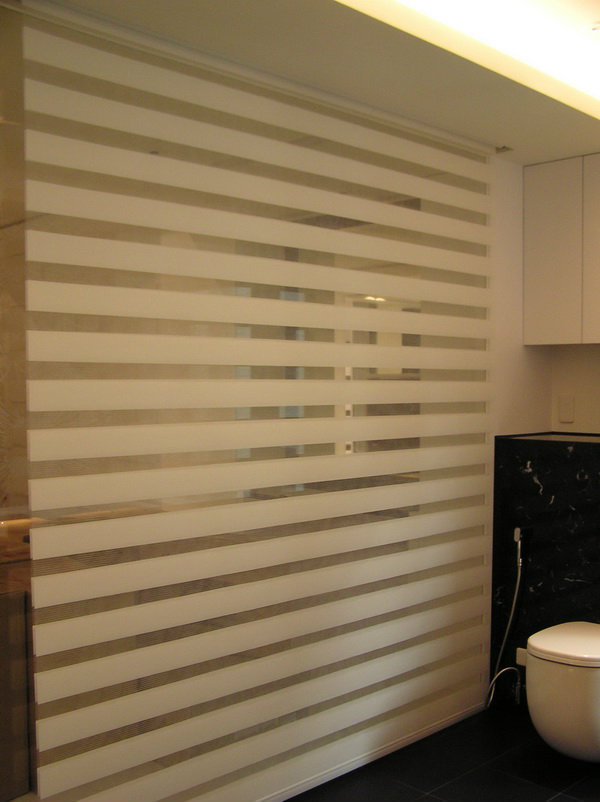 Our Brand LPL Room Darkening Banded Sheer on Sheer Roller Shades (Blinds Express 6143 Blinds) photo